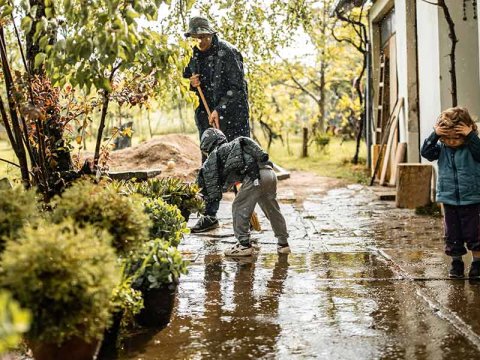 Stormschade tuin en een verzekering