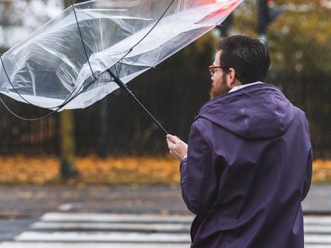 Stormschade verzekering: wat wordt er vergoed?