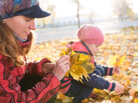 Je tuin winterklaar maken: zo doe je dat  